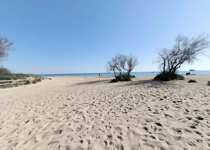 Siepe Puglia On Line 펜션 마리나 디 페스콜루스